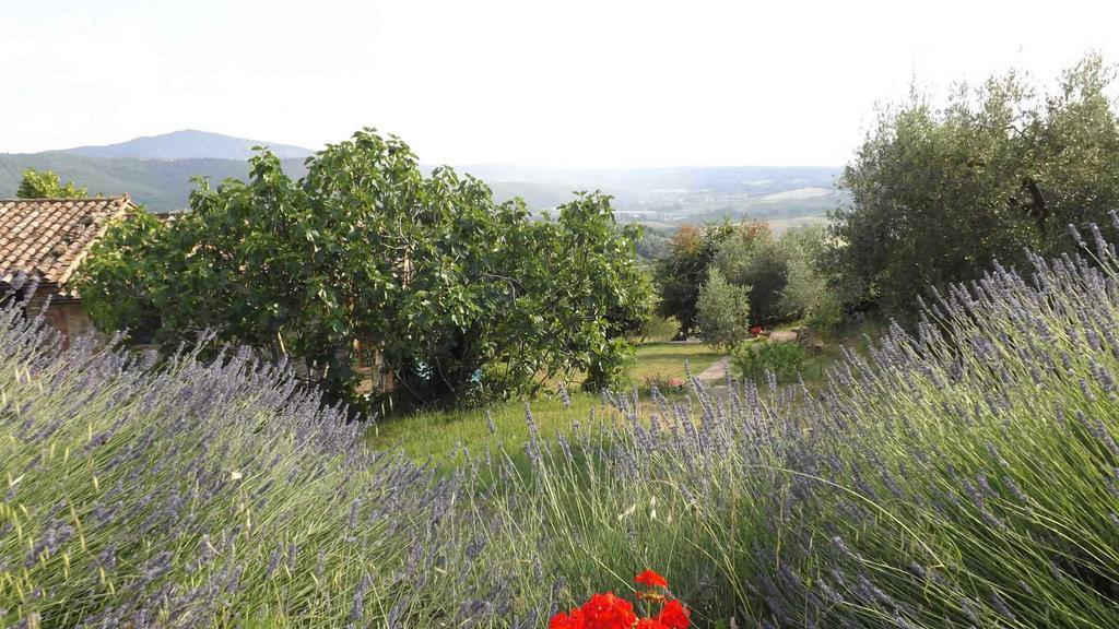 Casa Lorenzo Panicale Buitenkant foto